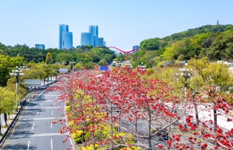 黄埔区で春の花景色が見頃