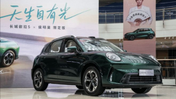 与用户共创 长城欧拉5限定版纯电版限量99台上市即售罄