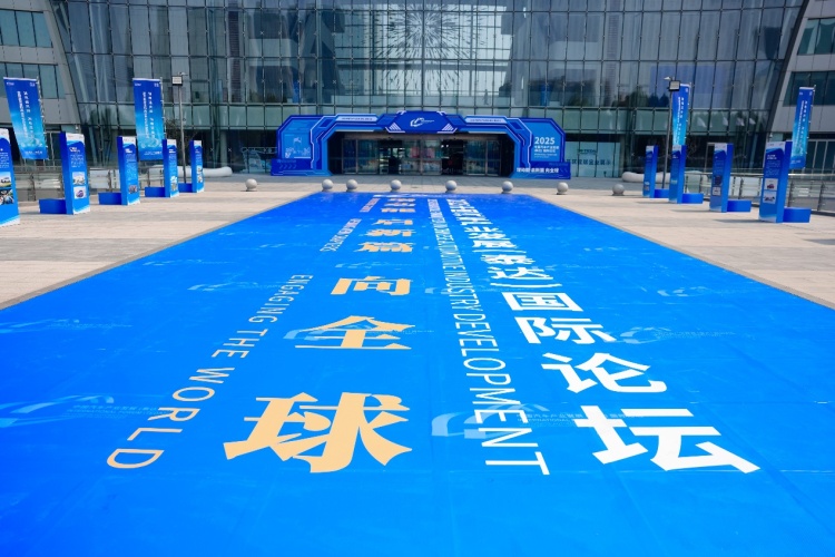 2025泰达论坛：中国汽车出海8大难关_fororder_3