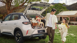 缤果家族2025全年热销213367辆