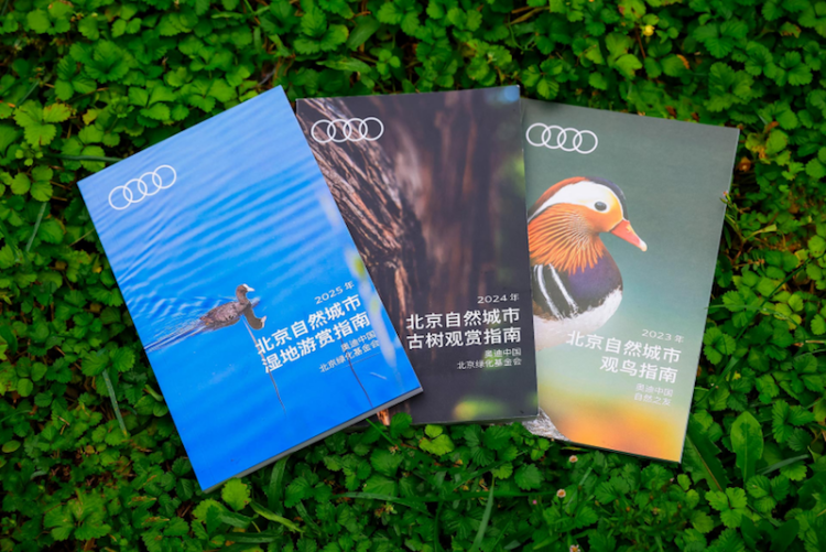 “奥迪中国自然城市行动”携手北京绿化基金会发布《北京自然城市湿地游赏指南》  位置：资讯_fororder_“奥迪中国自然城市行动”携手北京绿化基金会发布《北京自然城市湿地游赏指南》1050