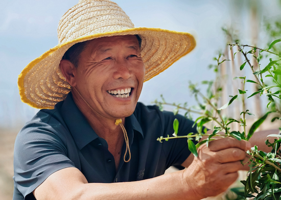 大众汽车集团（中国）耕绿五载：两千万平米沙地重焕生机 位置：资讯_fororder_【11】大众汽车集团（中国）耕绿五载：两千万平米沙地重焕生机1486