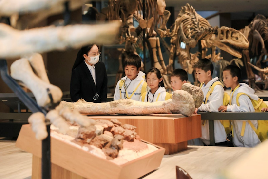 筑梦想 塑未来 捷豹路虎希望小学知行之旅走进上海