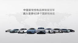 图片默认标题