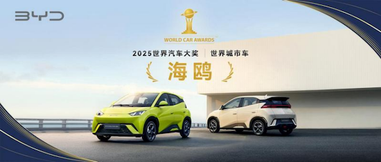 【资讯】比亚迪海鸥荣获“2025世界城市车”冠军_fororder_【6】比亚迪海鸥荣获“2025世界城市车”冠军256