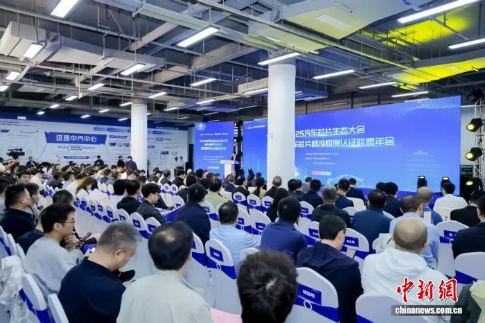 中国内地首个汽车芯片标准验证平台落子深圳坪山