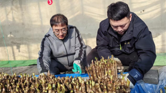 延吉青年生态转型种出反季致富芽：暖棚藏春味 嫩芽变金枝