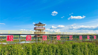十年稻香路：返乡创业青年金君牢记“粮食也要打出品牌”嘱托 挺起大国农人担当