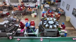 延吉：特色产业集群赋能县域经济高质量发展