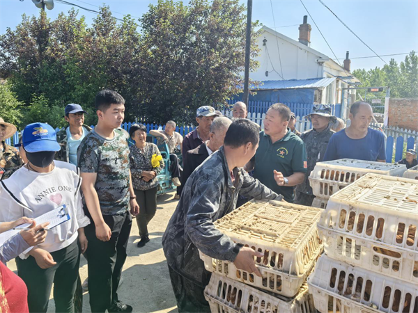 吉林安图发展“庭院经济”解锁农民“增收密码”_fororder_吉林庭院经济