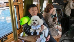 长春54路文旅专列开启 “萌宠友好” 模式