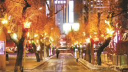 科技赋能 光影添彩 延吉人民公园打造沉浸式夜游新地标