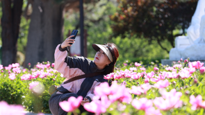 延吉：公园芍药始盛开 美不胜收惹人醉