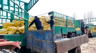 春潮涌动备耕忙 延吉农资储备充足供应畅