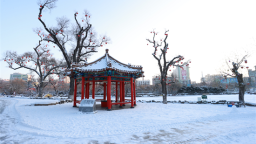 有一种生活叫延吉｜雪落公园景如画 延吉冬日韵悠长