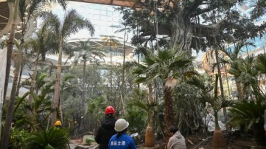 倒计时！长春万达茂开业进入冲刺阶段