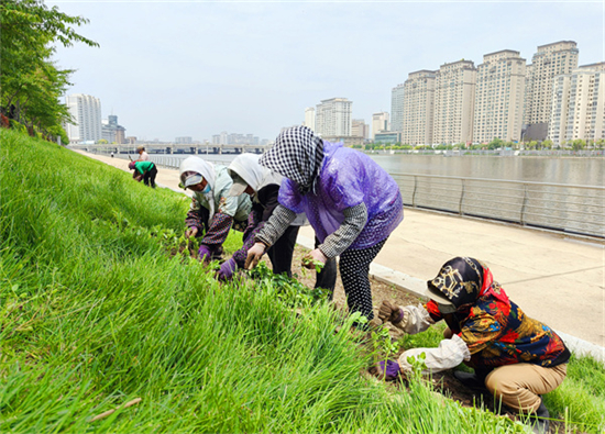 城市颜值再升级 延吉布河景观提升工程加速推进_fororder_图片1