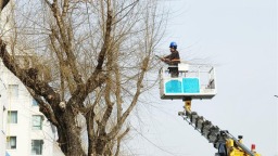 “修”出美丽市容 “剪”少安全隐患 延吉林业部门为行道树“减负”