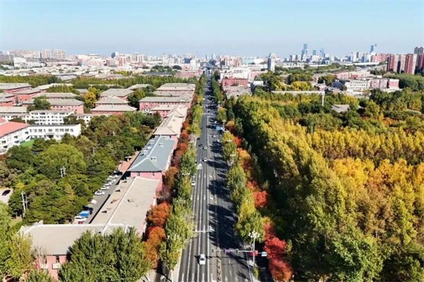 长春汽开区的秋 是硬核的 也是温柔的_fororder_吉林汽开区4