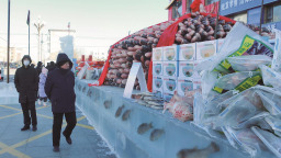 大安水产品交易中心渔业大集正式开市