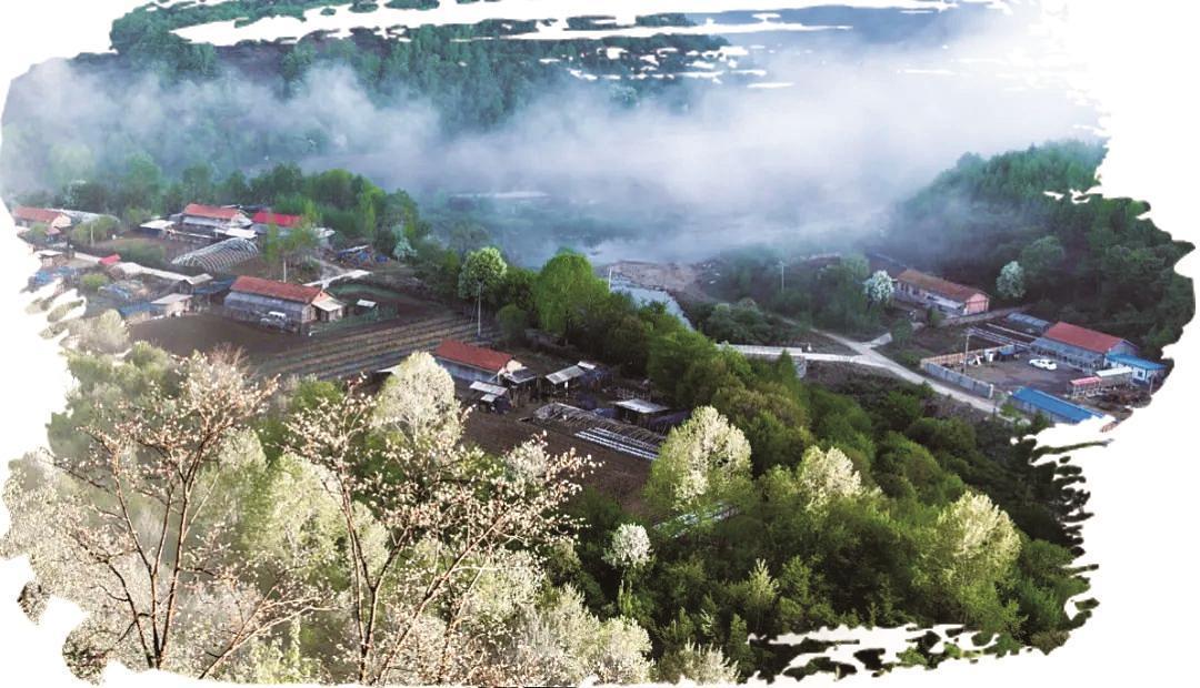 绿野寻芳 春游白山