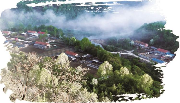 绿野寻芳 春游白山