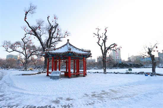 有一种生活叫延吉｜雪落公园景如画 延吉冬日韵悠长_fororder_吉林有一种生活叫延吉1