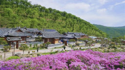 图们市举办“心之向往·达人话图们”边境文旅采风活动