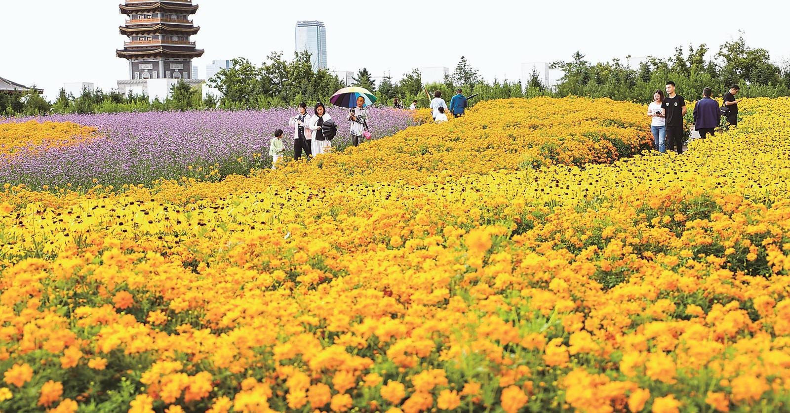 城市“绿肺” 价值几何