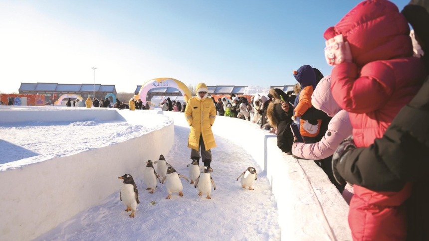 长春新区“北湖企鹅村第二季”开园