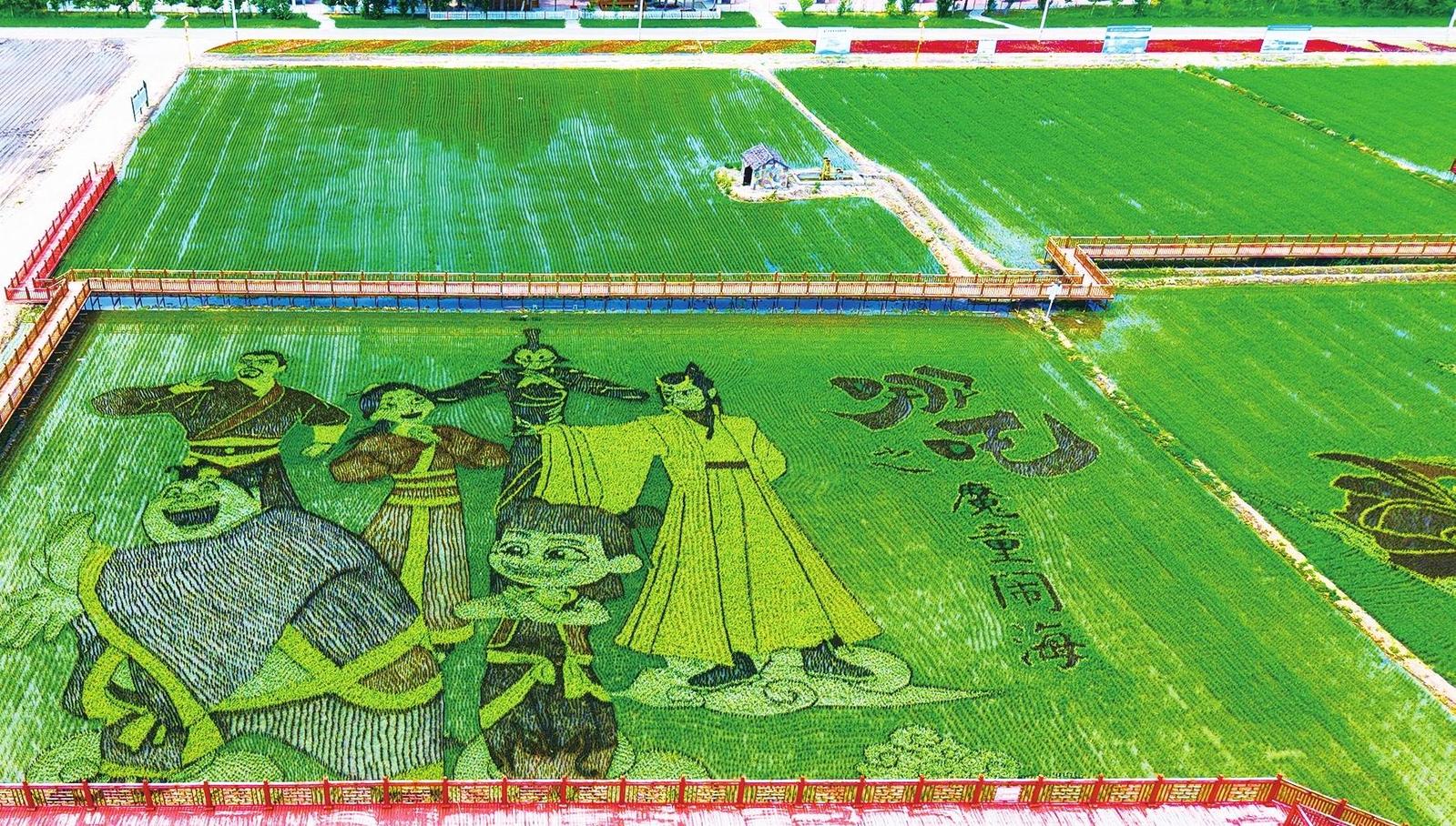 松原市乾安县：彩稻种出“哪吒”