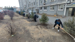 延吉北山街道见缝插绿 补绿植绿 为大地增绿