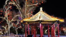 “森林花海萤火虫 蝉鸣蛙叫蝴蝶飞”  这个冬天来延吉人民公园夜游秘境