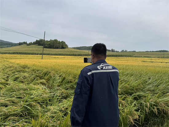 中国太保产险柳河支公司将科技创新深度融入农业保险服务全流程_fororder_吉林太保图