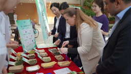 吉林外国语大学举办外籍教师“端午健康文化探访之旅”