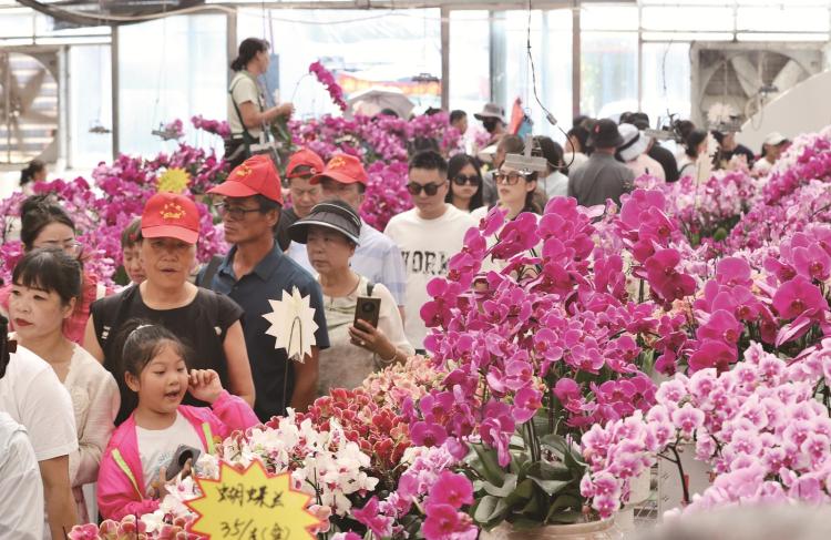 相约金色吉林·第二十四届长春农博会