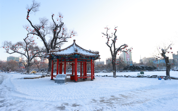 有一种生活叫延吉｜雪落公园景如画 延吉冬日韵悠长_fororder_吉林有一种生活叫延吉1_副本