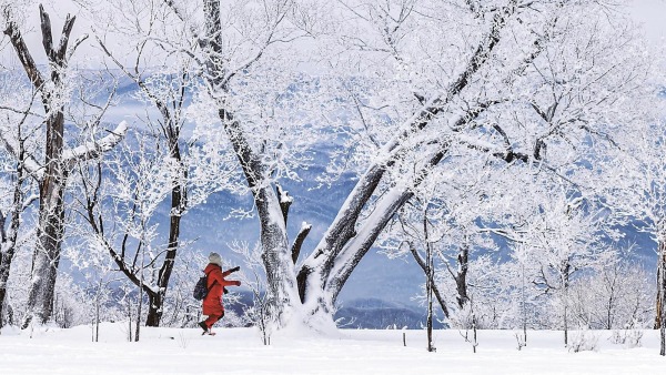 通化市辉南县迎来大面积雾凇景观