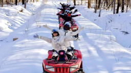 冰雪经济添活力！安图县春节文旅市场“热力全开”