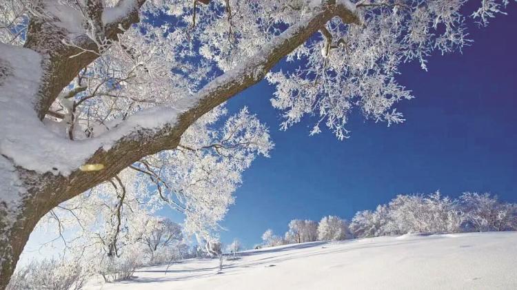 白山冰雪旅游全面升级