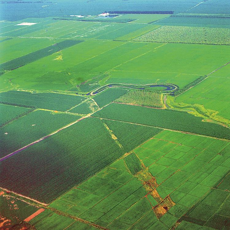 “生态+”：大美吉林 共生共赢