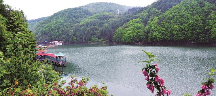绿野寻芳 春游白山