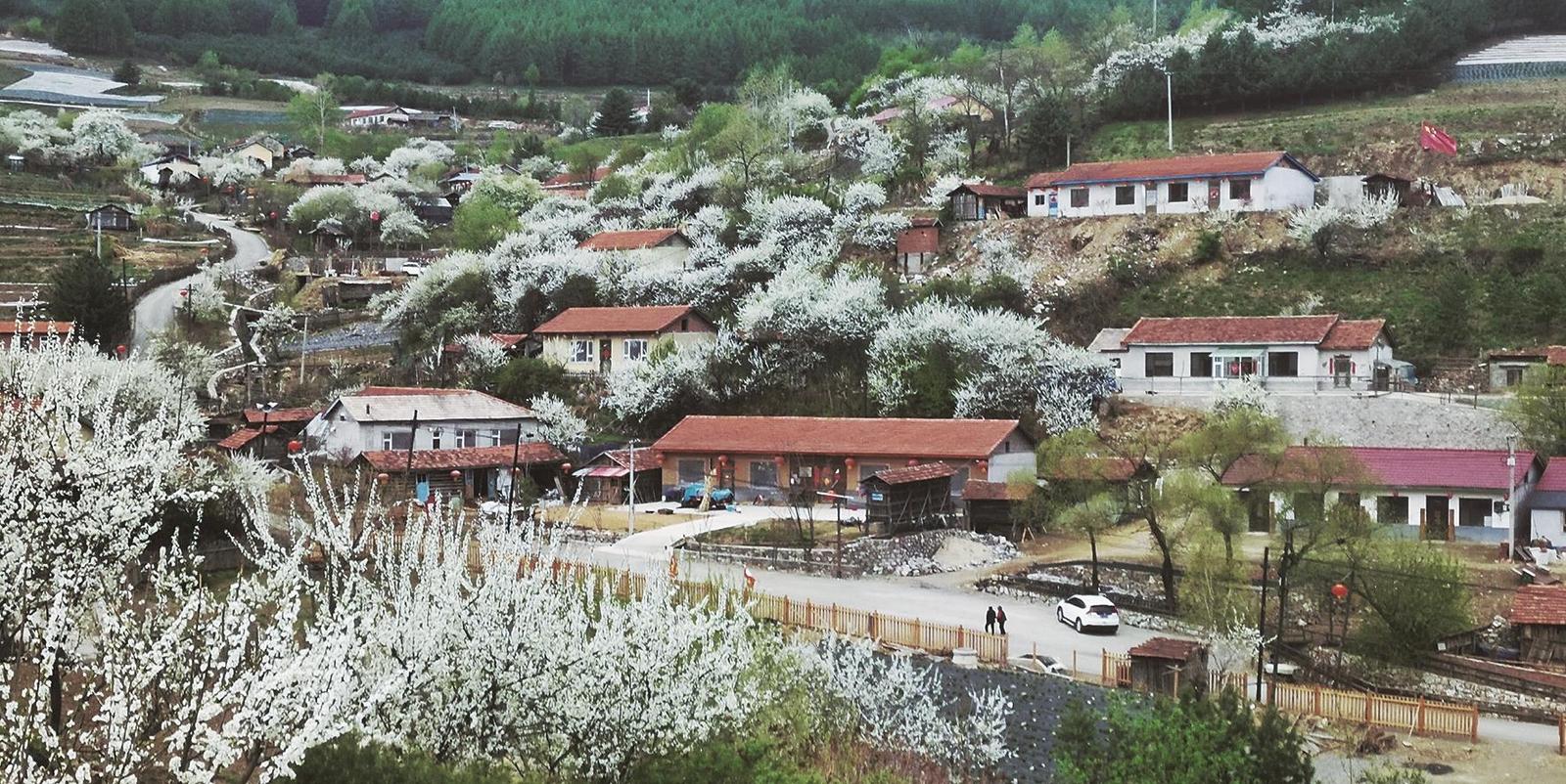 绿野寻芳 春游白山