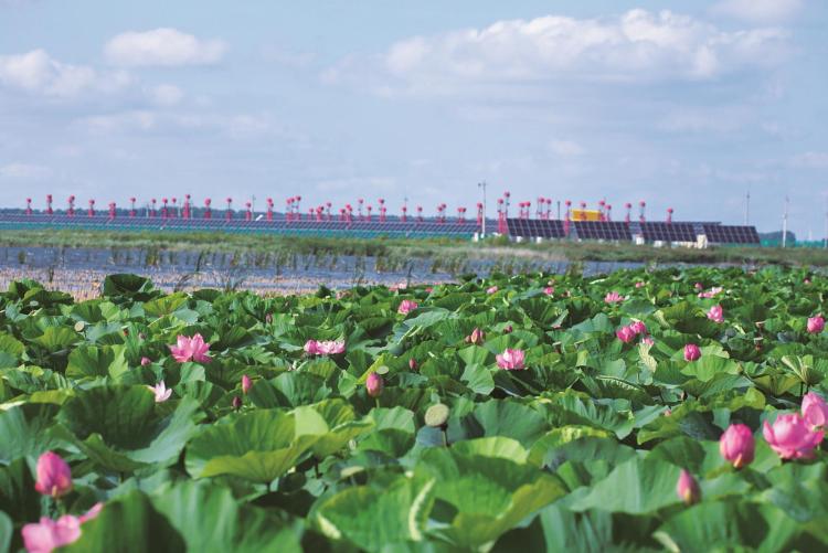 吉林查干湖：生态美景 邀您入“画”