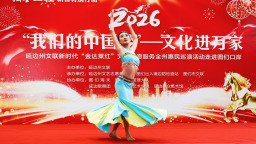 文化进万家 国门党旗红——延边州文联惠民巡演活动在图们口岸精彩上演