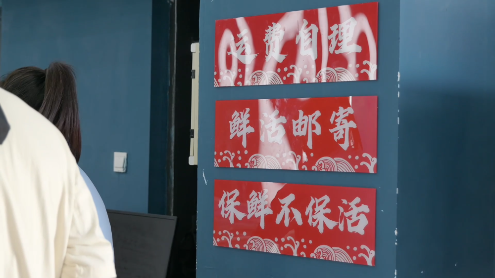 从边境小城到文旅胜地 珲春边境文旅热潮背后的“流量密码”