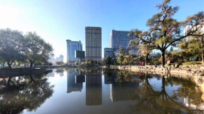 延吉：一池清鉴晨昏景 公园荷池别样美