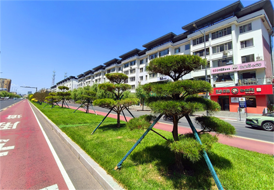 延吉公园路分车带完成改造升级_fororder_吉林公园路