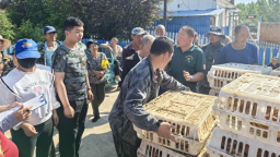 吉林安图发展“庭院经济”解锁农民“增收密码”