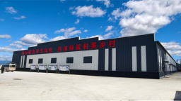 珲春市东阿拉村：RAS循环水高密度渔业养殖项目激活边境产业新活力